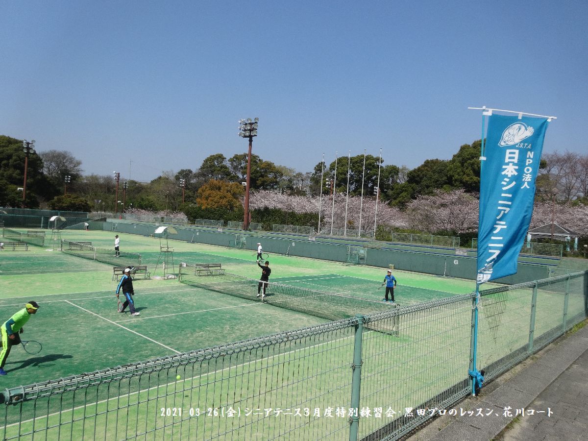 花川運動公園屋外テニスコート